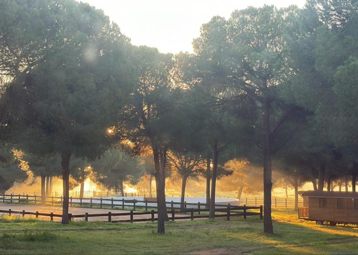 naturaleza-finca-la-maloca